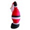 Celebrations Celebrations Santa 8 ft. Inflatable MY-20S899 - alternate 4